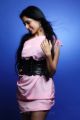 Telugu Actress Raine Chawla Portfolio Images