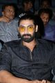 Actor Rana Daggubati @ Raja Rani Audio Release Function Photos