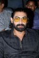 Actor Rana Daggubati @ Raja Rani Audio Release Function Photos