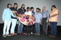 Raja Rani Audio Release Function Photos