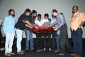 Raja Rani Audio Release Function Photos