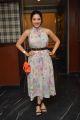 Mehreen Kaur Pirzada @ Raja The Great Success Celebration Photos