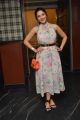 Mehreen Kaur Pirzada @ Raja The Great Success Celebration Photos