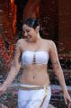 Actress Pooja Chopra Hot in Rajakota Rahasyam Telugu Movie Stills