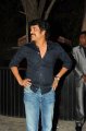 Rajanna Success Meet Pictures