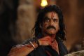 Rajanna Nagarjuna Movie Stills