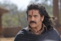 Rajanna Nagarjuna Movie Stills