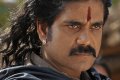 Rajanna Nagarjuna Movie Stills