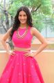 Raju Gadu Heroine Amyra Dastur in Pink Dress Photos