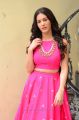 Telugu Heroine Amyra Dastur Photos in Pink Dress