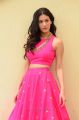 Raju Gadu Heroine Amyra Dastur in Pink Dress Photos