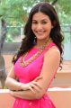 Raju Gadu Amyra Dastur Interview Photos in Pink Dress