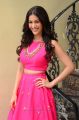 Raju Gadu Amyra Dastur Interview Photos in Pink Dress