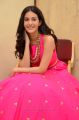 Raju Gadu Heroine Amyra Dastur Interview Photos in Pink Dress