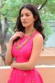 Raju Gadu Movie Actress Amyra Dastur Interview Photos