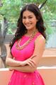 Telugu Heroine Amyra Dastur Photos in Pink Dress