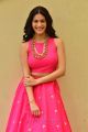 Raju Gadu Heroine Amyra Dastur Interview Photos in Pink Dress