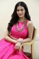 Raju Gadu Movie Heroine Amyra Dastur Interview Photos