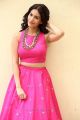 Raju Gadu Heroine Amyra Dastur in Pink Dress Photos