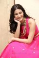 Raju Gadu Heroine Amyra Dastur Interview Photos in Pink Dress