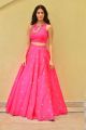 Telugu Heroine Amyra Dastur Photos in Pink Dress