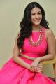 Raju Gadu Movie Actress Amyra Dastur Interview Photos