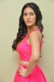 Raju Gadu Amyra Dastur Interview Photos in Pink Dress