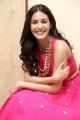 Raju Gadu Movie Actress Amyra Dastur Interview Photos