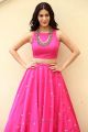 Raju Gadu Heroine Amyra Dastur Interview Photos in Pink Dress