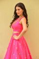 Raju Gadu Heroine Amyra Dastur in Pink Dress Photos