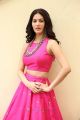 Raju Gadu Movie Heroine Amyra Dastur Interview Photos