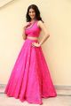 Raju Gadu Amyra Dastur Interview Photos in Pink Dress