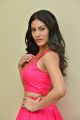 Raju Gadu Heroine Amyra Dastur Interview Photos in Pink Dress