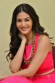 Raju Gadu Movie Heroine Amyra Dastur Interview Photos