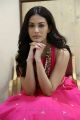 Telugu Heroine Amyra Dastur Photos in Pink Dress