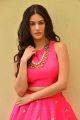 Raju Gadu Heroine Amyra Dastur Interview Photos in Pink Dress