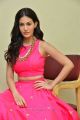 Raju Gadu Heroine Amyra Dastur Interview Photos in Pink Dress