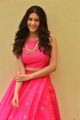 Raju Gadu Movie Heroine Amyra Dastur Interview Photos