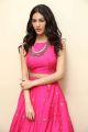 Raju Gadu Movie Actress Amyra Dastur Interview Photos