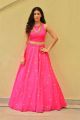 Raju Gadu Heroine Amyra Dastur Interview Photos in Pink Dress