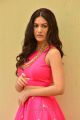 Telugu Heroine Amyra Dastur Photos in Pink Dress