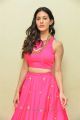 Raju Gadu Heroine Amyra Dastur in Pink Dress Photos