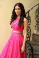 Raju Gadu Movie Heroine Amyra Dastur Interview Photos