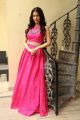 Raju Gadu Heroine Amyra Dastur Interview Photos in Pink Dress