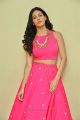 Raju Gadu Heroine Amyra Dastur in Pink Dress Photos