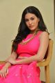 Raju Gadu Movie Heroine Amyra Dastur Interview Photos