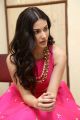 Raju Gadu Heroine Amyra Dastur in Pink Dress Photos