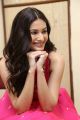 Raju Gadu Heroine Amyra Dastur Interview Photos in Pink Dress