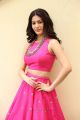 Raju Gadu Amyra Dastur Interview Photos in Pink Dress