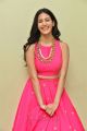 Raju Gadu Heroine Amyra Dastur Interview Photos in Pink Dress